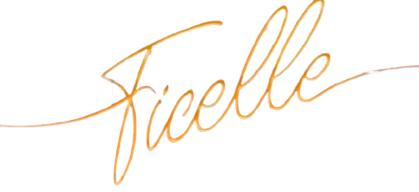 LA COURSE DE CANARDS